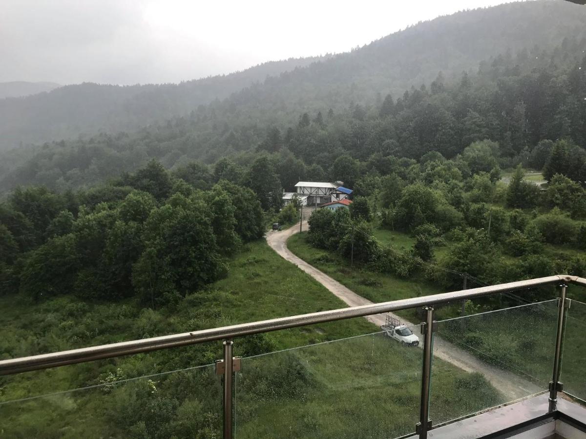 Mountain Residence Sinaia Exterior photo