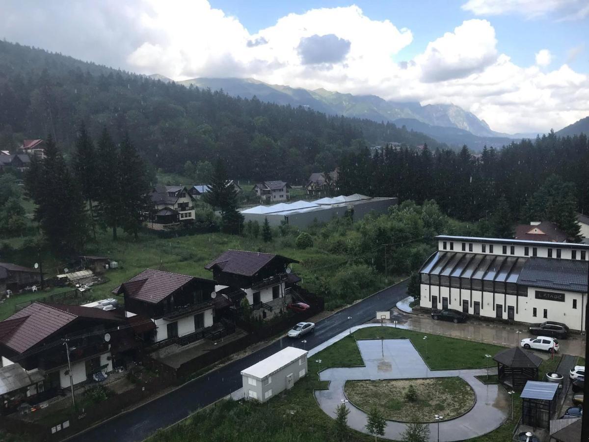 Mountain Residence Sinaia Exterior photo