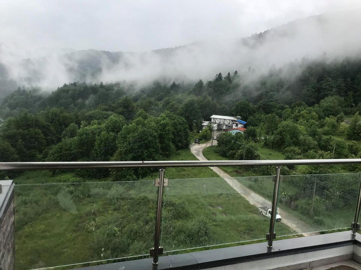 Mountain Residence Sinaia Exterior photo